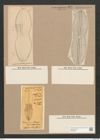 Navicula crabro (Ehr.) Kuetz. (de-Toni-Nr.: Genus 1, Species 197) Zeichnungen Sammlung Grunow Nr. 494 (NHMW-BOT-W0366837)
